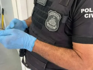 divulgação